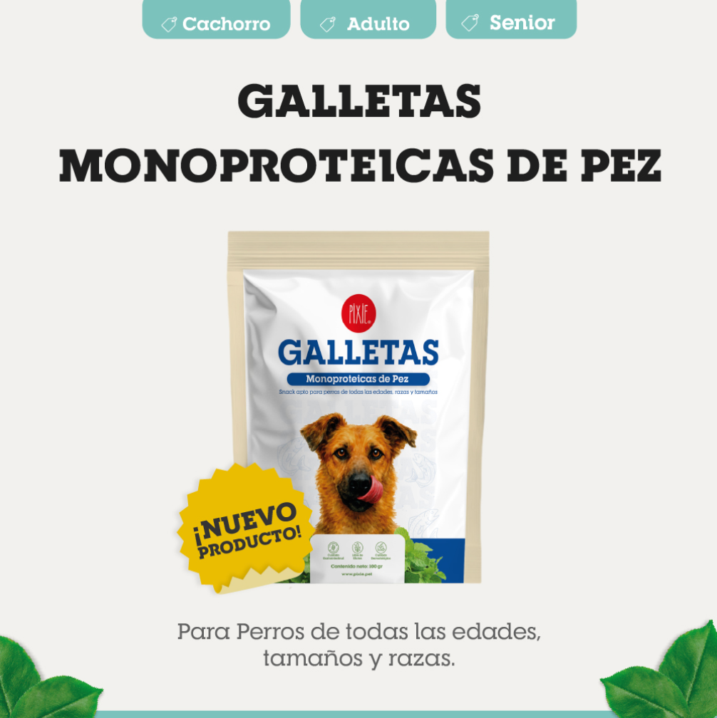 GALLETA MONOPROTEICA DE PEZ