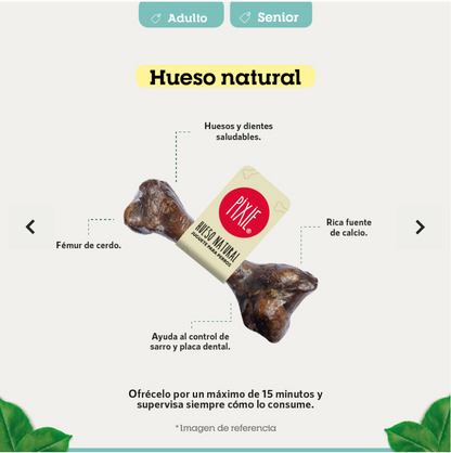 HUESO NATURAL FUNCIONAL