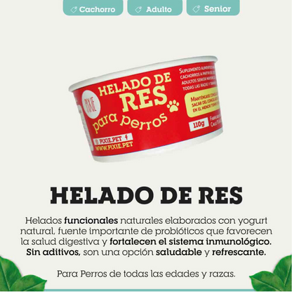 HELADO FUNCIONAL DE RES