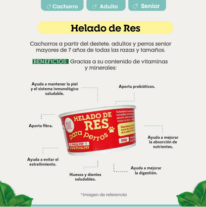 HELADO FUNCIONAL DE RES