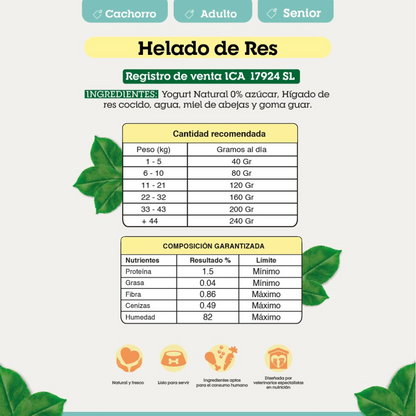 HELADO FUNCIONAL DE RES