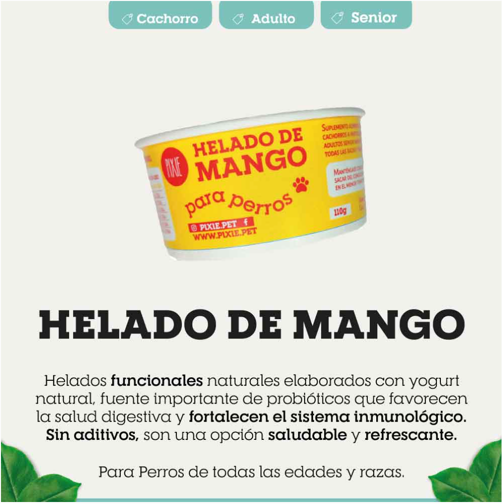 HELADO FUNCIONAL DE MANGO