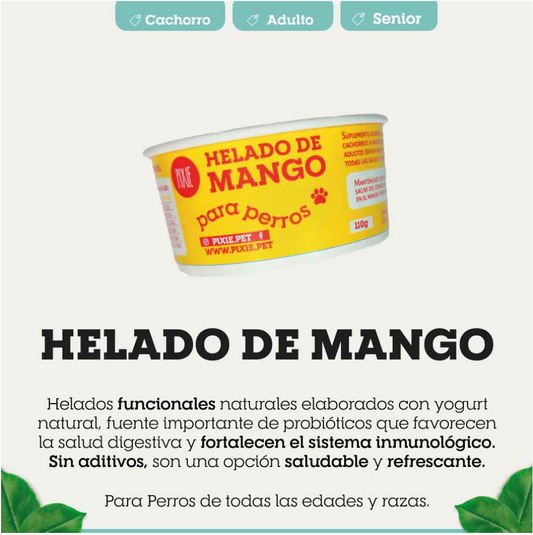 HELADO FUNCIONAL DE MANGO