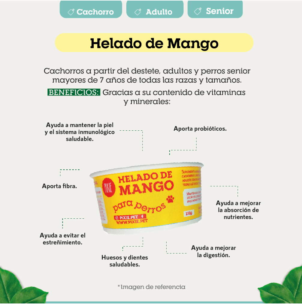 HELADO FUNCIONAL DE MANGO