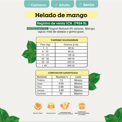 HELADO FUNCIONAL DE MANGO