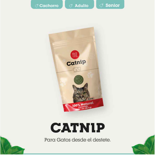 CATNIP PIXIE